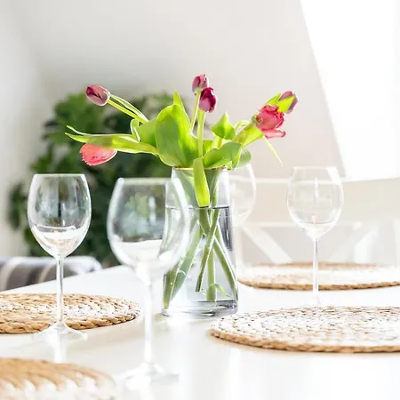 Blaue Maus Апартаменты Миров