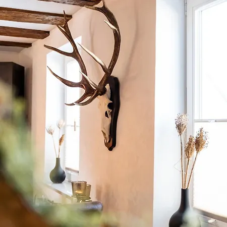 Blaue Maus Апартаменты